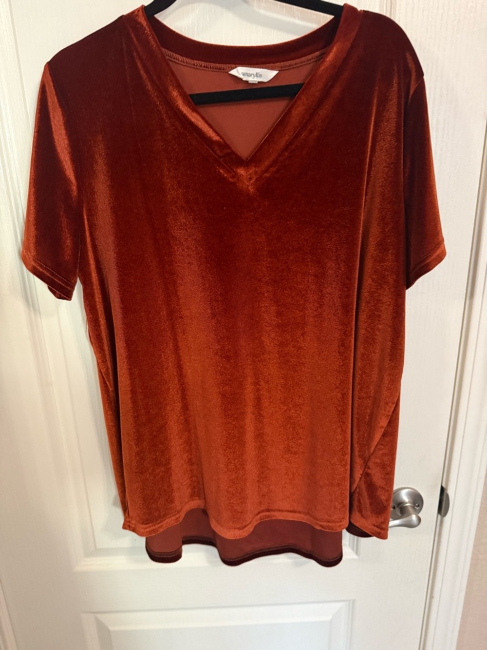 Amaryllis Burnt Orange Velvet V-Neck Short Sleeve Top